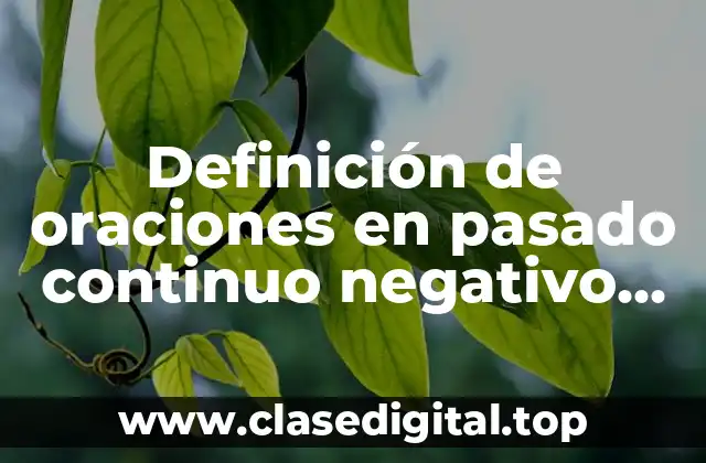 Definición de oraciones en pasado continuo negativo en inglés