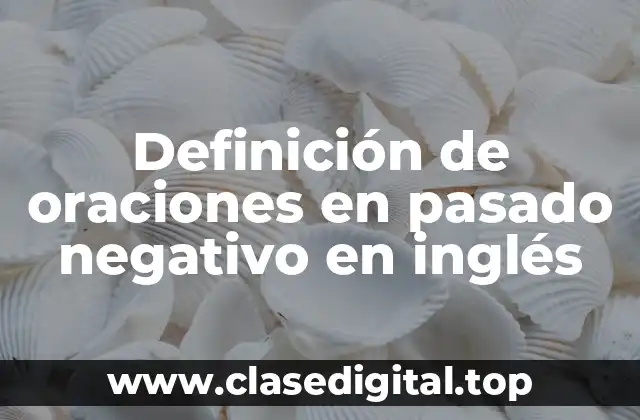 Definición de oraciones en pasado negativo en inglés