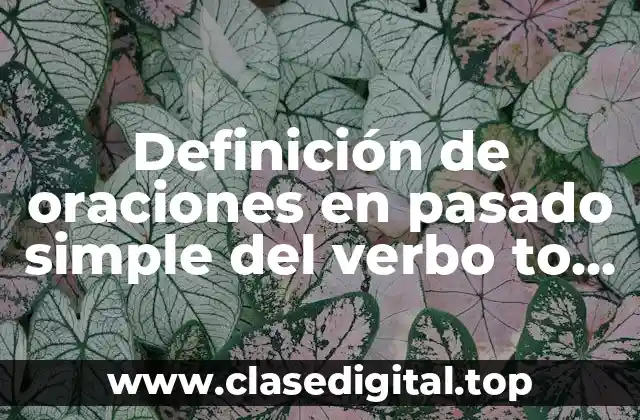 Definición de oraciones en pasado simple del verbo to be