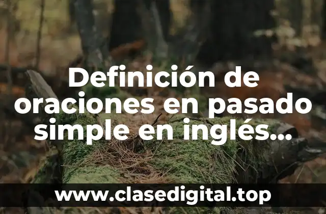 Definición de oraciones en pasado simple en inglés interrogativas