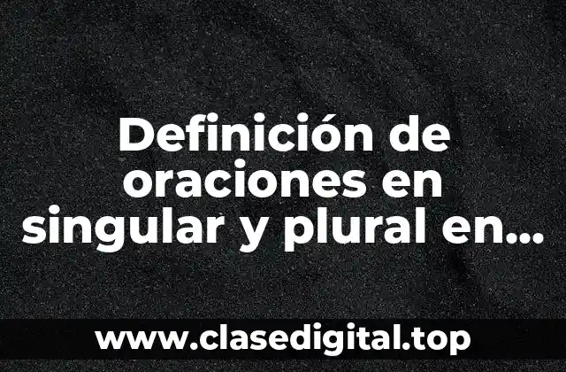 Definición de oraciones en singular y plural en inglés