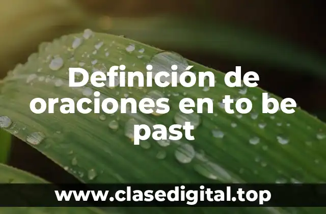 Definición de oraciones en to be past