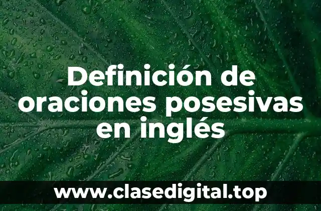 Ejemplos de oraciones posesivas en inglés