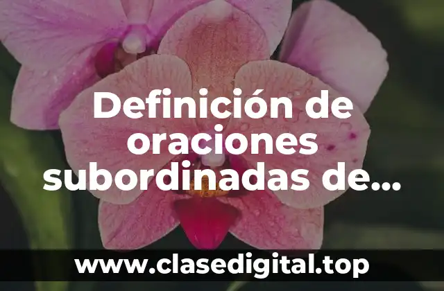 Ejemplos de oraciones subordinadas de relativo