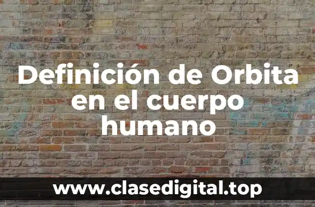 Definición de Orbita en el cuerpo humano