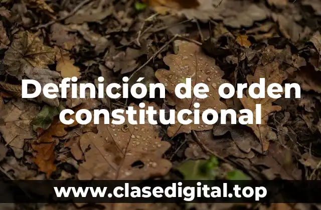 Definición de orden constitucional