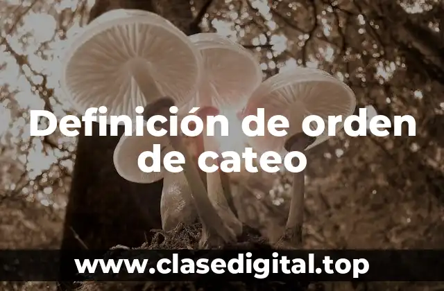 Definición de orden de cateo