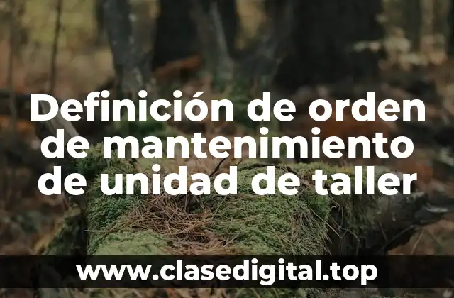 Definición técnica de orden de mantenimiento de unidad de taller