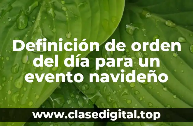 Definición de orden del día para un evento navideño
