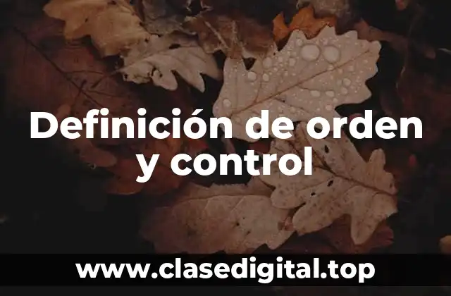 Definición de orden y control