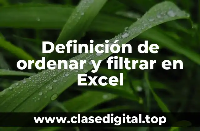 Definición de ordenar y filtrar en Excel