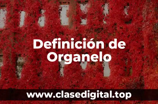 Ejemplos de Organelos