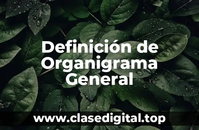 Definición de Organigrama General