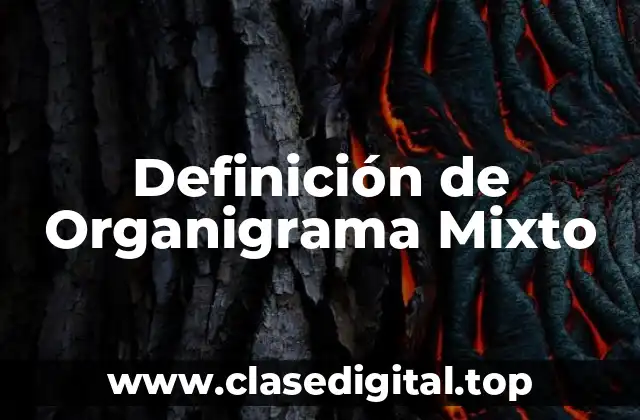 Definición de Organigrama Mixto