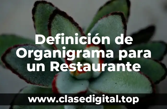 Definición de Organigrama para un Restaurante