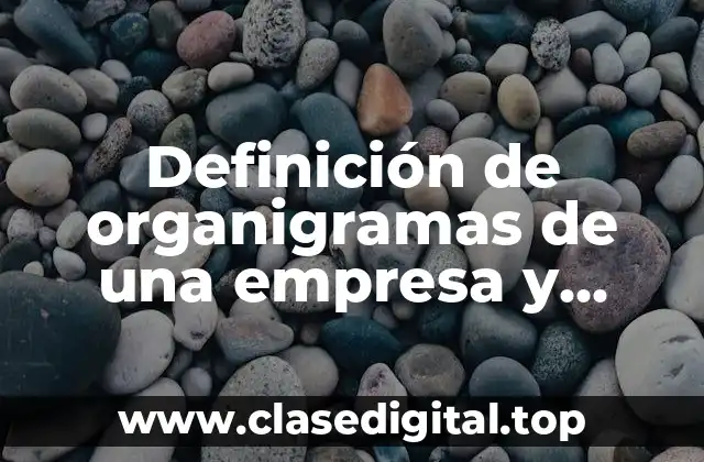 Definición de organigramas de una empresa y especificar su clasificación