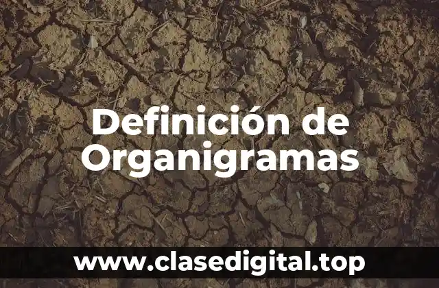 Definición de Organigramas