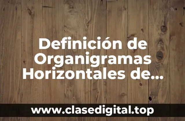Definición de Organigramas Horizontales de Empresas Reales