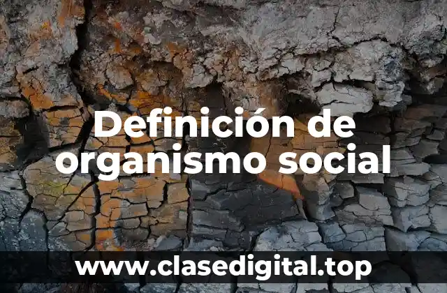 Definición de organismo social