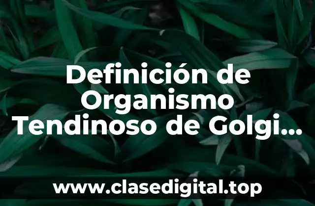 Definición de Organismo Tendinoso de Golgi en Terapia Física