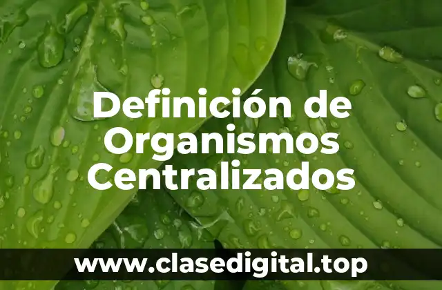 Definición de Organismos Centralizados