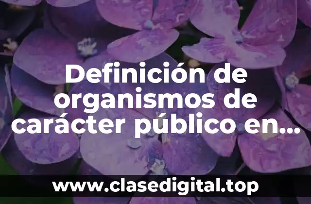 Definición de organismos de carácter público en derecho