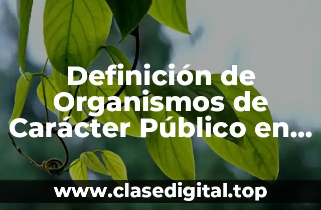 Definición Técnica de Organismos de Carácter Público en Derecho