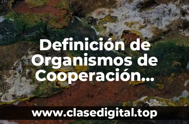 Definición de Organismos de Cooperación Económica Internacional
