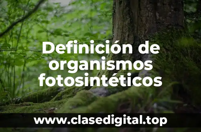 Definición de organismos fotosintéticos