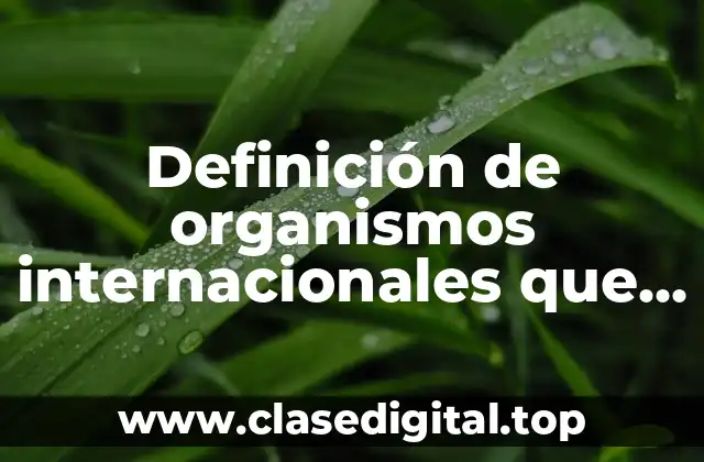 Definición de organismos internacionales que regulan la actividad empresarial