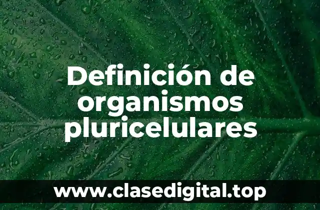 Ejemplos de organismos pluricelulares