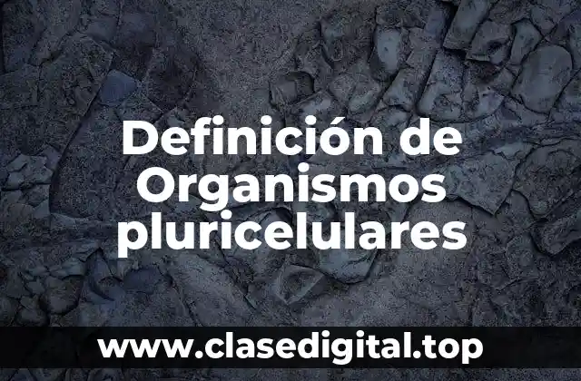Definición de Organismos pluricelulares