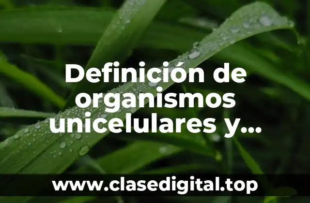 Ejemplos de organismos unicelulares