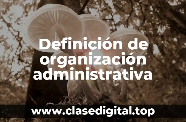 Definición de organización administrativa