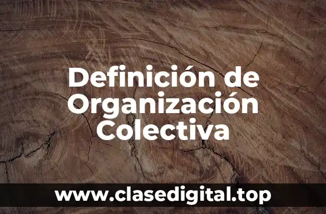 Definición de Organización Colectiva