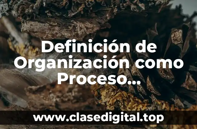 Definición de Organización como Proceso Administrativo