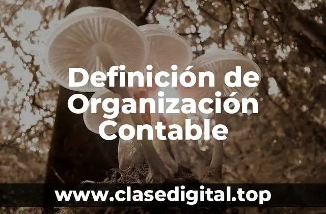 Definición de Organización Contable