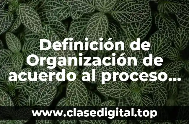 Definición de Organización de acuerdo al proceso administrativo