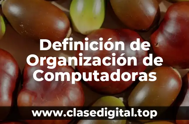 Definición de Organización de Computadoras