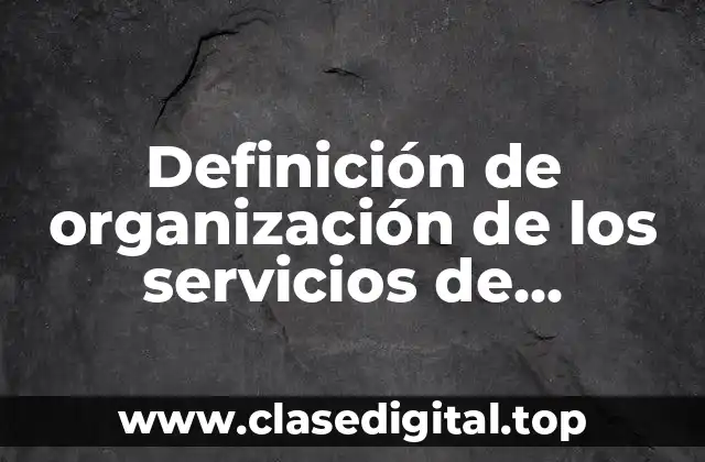 Definición de organización de los servicios de enfermería