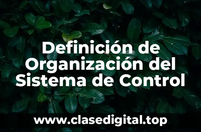 Definición de Organización del Sistema de Control