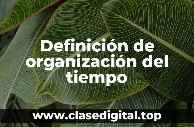 Definición de organización del tiempo