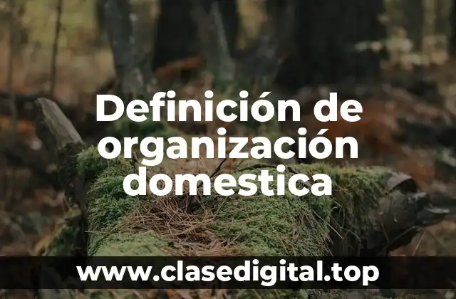 Definición de organización domestica