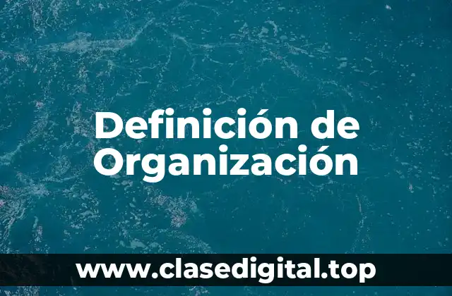 Definición técnica de Organización