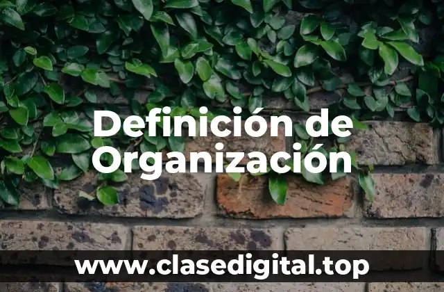 Definición de Organización