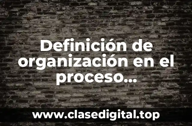 Definición de organización en el proceso administrativo