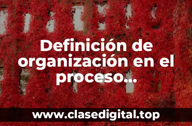 Definición técnica de organización en el proceso administrativo