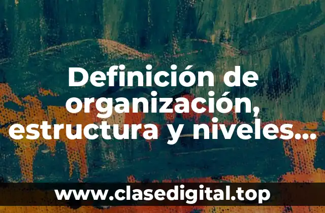 Definición de organización, estructura y niveles jerárquicos