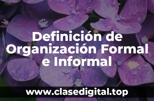 Definición de Organización Formal e Informal