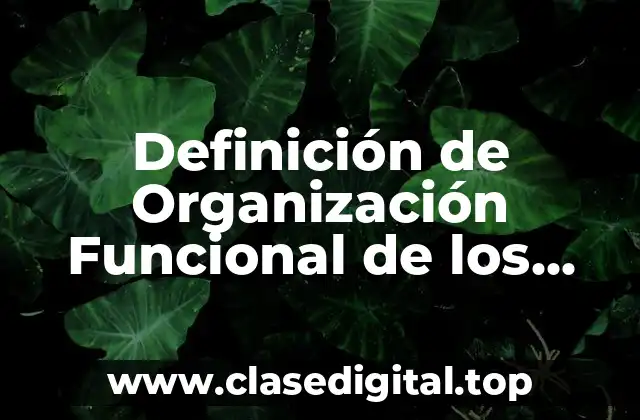Definición de Organización Funcional de los Sistemas de Información